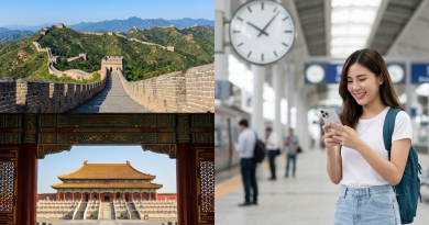 Aplicații necesare în China