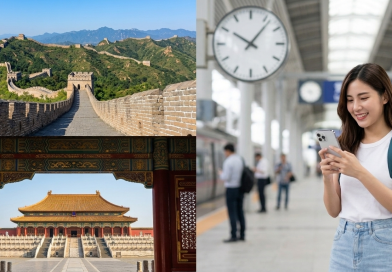 Aplicații necesare în China