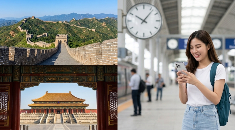 Aplicații necesare în China